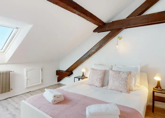 Le Cocon Colmarien - Proche Centre Et Gare - Stationnement Gratuit - 10 Personnes Colmar