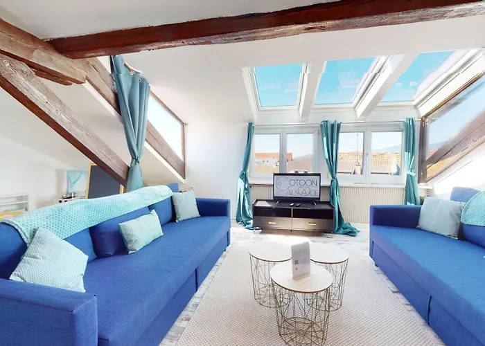 Daire Le Cocon Colmarien - Proche Centre Et Gare - Stationnement Gratuit - 10 Personnes Colmar